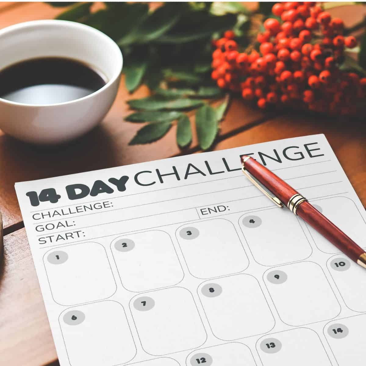 14 Day Challenge Calendar Blank Printable