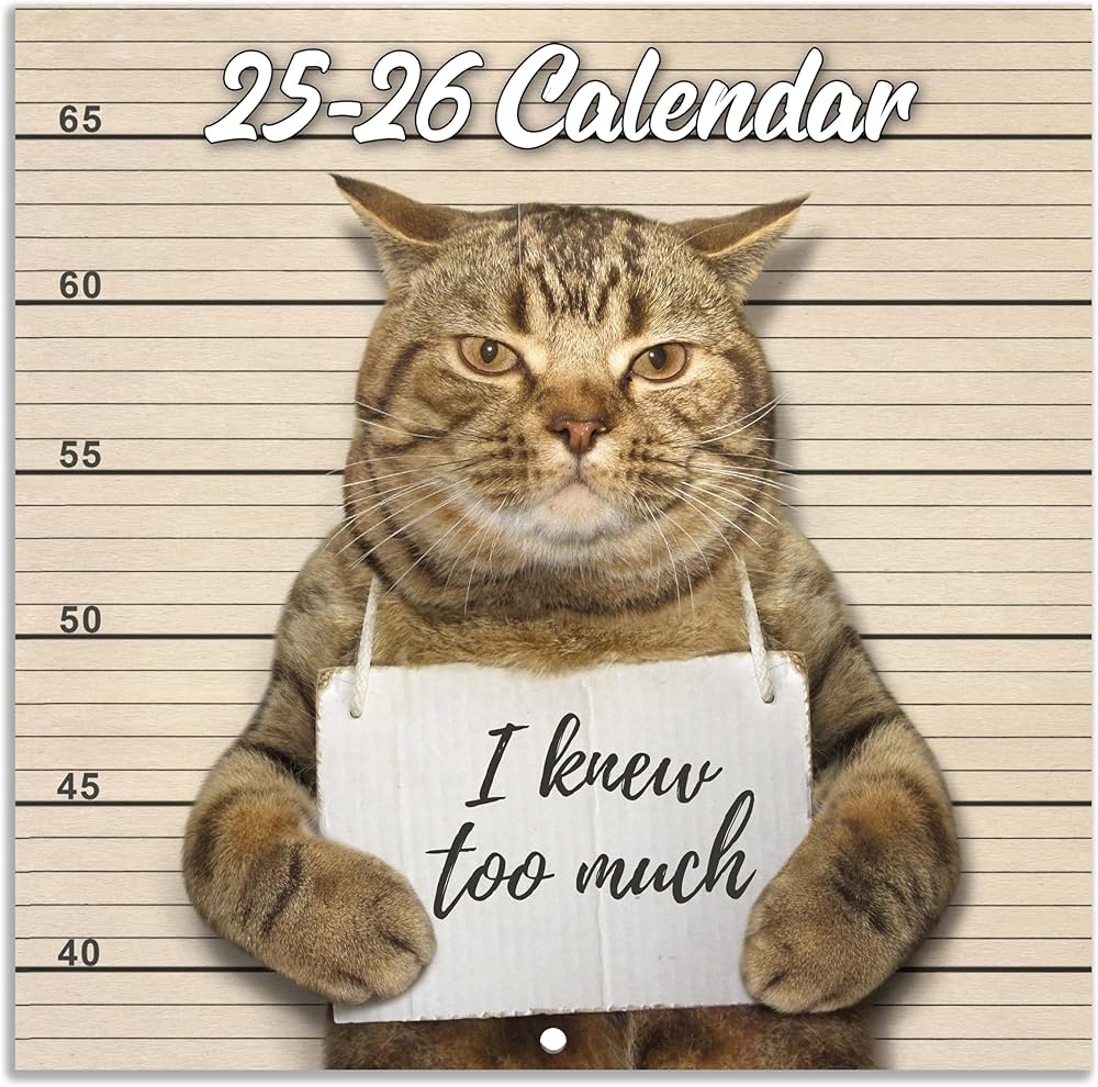 2025 2026 Wall Calendar July 2025 December 2026 Funny Cat Calendar 2025 2026 18 Month Calendar Funny Cat Memes Pics 12