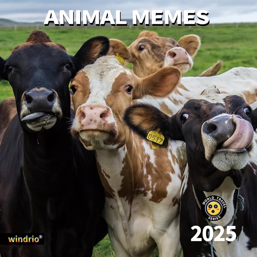 2025 Meme Calendar December