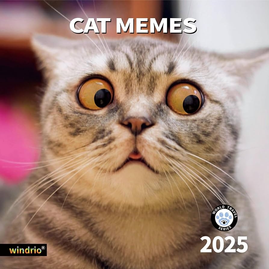 2025 Wall Calendar Funny Calendar 2025 January 2025 December 2025 Wall Calendar Funny Animal Memes 12 2025 Wall Calendar Funny Calendar 2025 January 2025 December 2025 Wall Calendar Funny Animal Memes 12