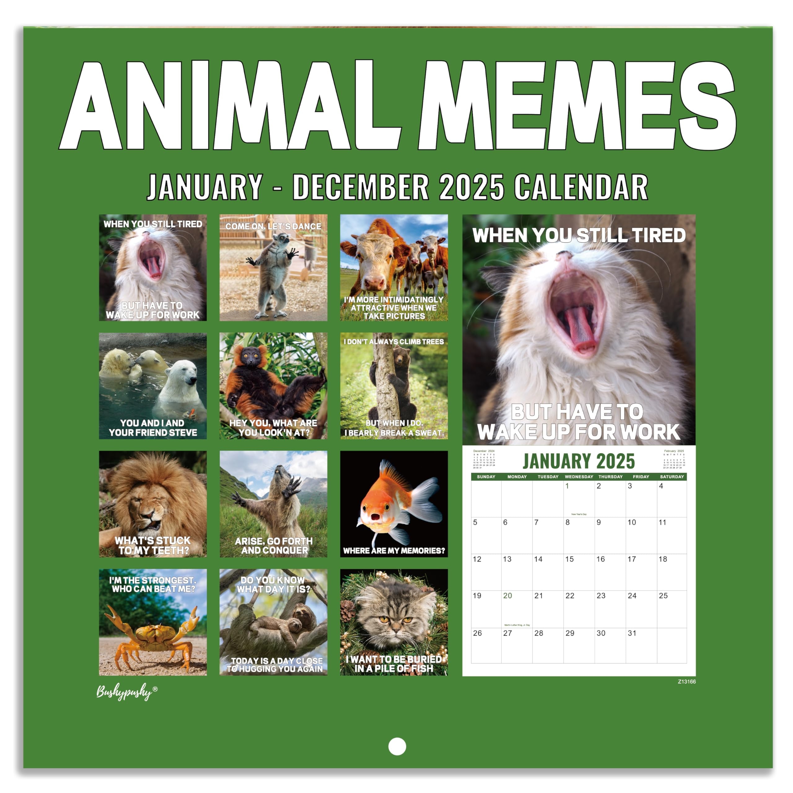2025 Wall Calendar Funny Calendar 2025 With Animal Memes Jan 2025 Dec 2025 12 2025 Wall Calendar Funny Calendar 2025 With Animal Memes Jan 2025 Dec 2025 12