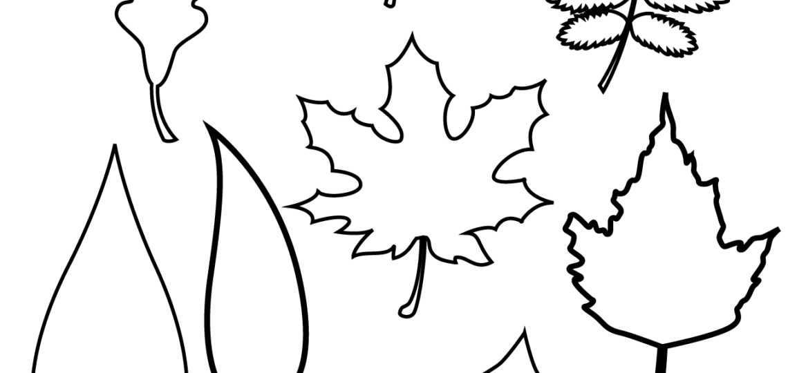 37 Printable Leaf Templates Outlines U0026 Shapes Free World Of Printables