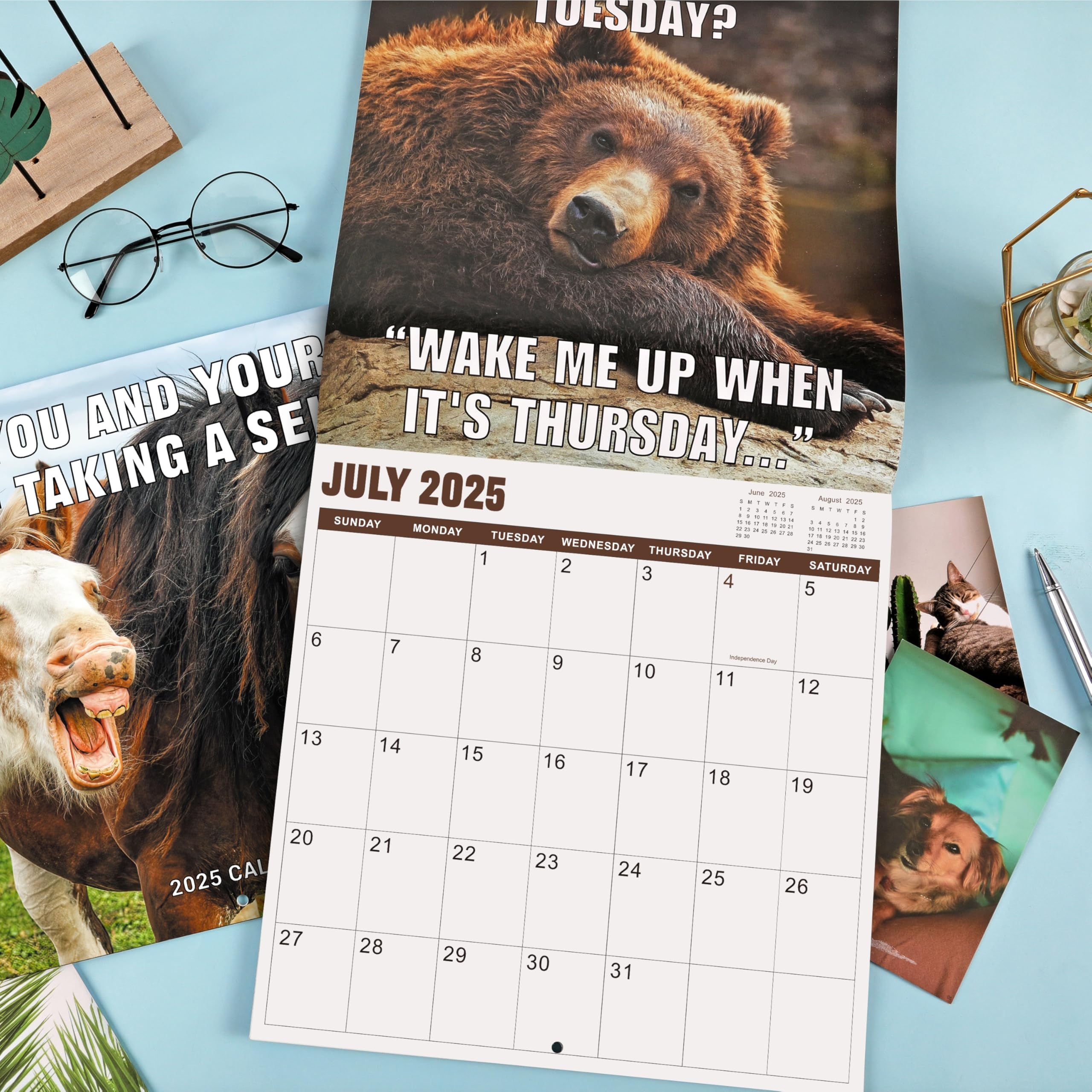 Amazon 2025 Wall Calendar 2025 Calendar 12