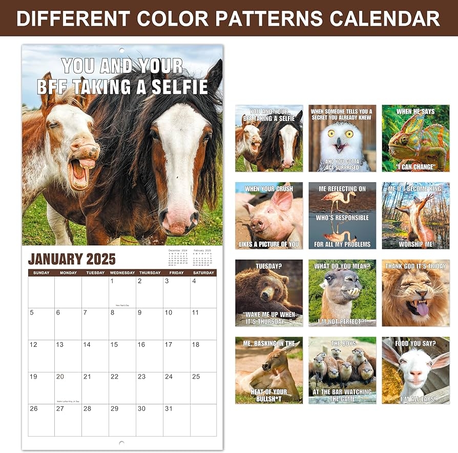 Amazon 2025 Wall Calendar Animal Memes Wall Calendar 2025 From Jan 2025 Dec 2025 Funny Calendar Gag Gifts 12 Amazon 2025 Wall Calendar Animal Memes Wall Calendar 2025 From Jan 2025 Dec 2025 Funny Calendar Gag Gifts 12