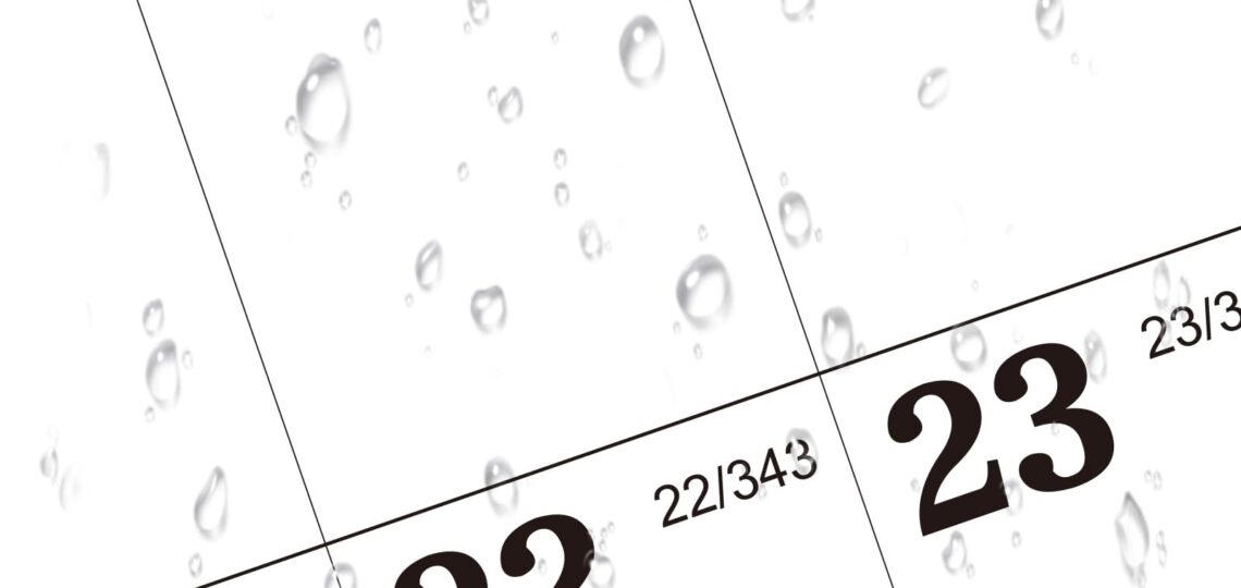 Amazon 2025 Yearly Wall Calendar 2025 Dry Erase Calendar