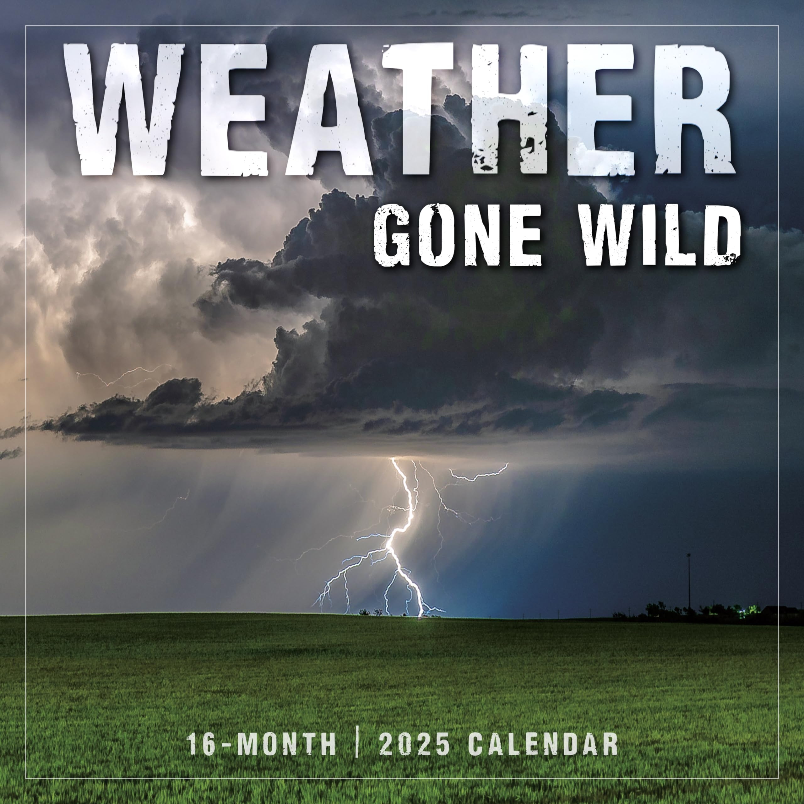 Amazon Weather Gone Wild 2025 Wall Calendar 16 Month Nature Calendar 12