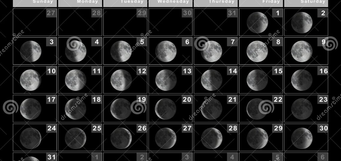 August 2025 Lunar Calendar Moon Cycles Stock Illustration Illustration Of Quarter Month 258915617