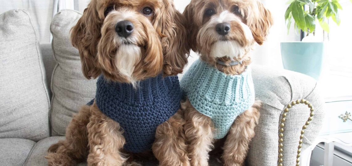 Crochet Dog Sweater Free Pattern Maria s Blue Crayon