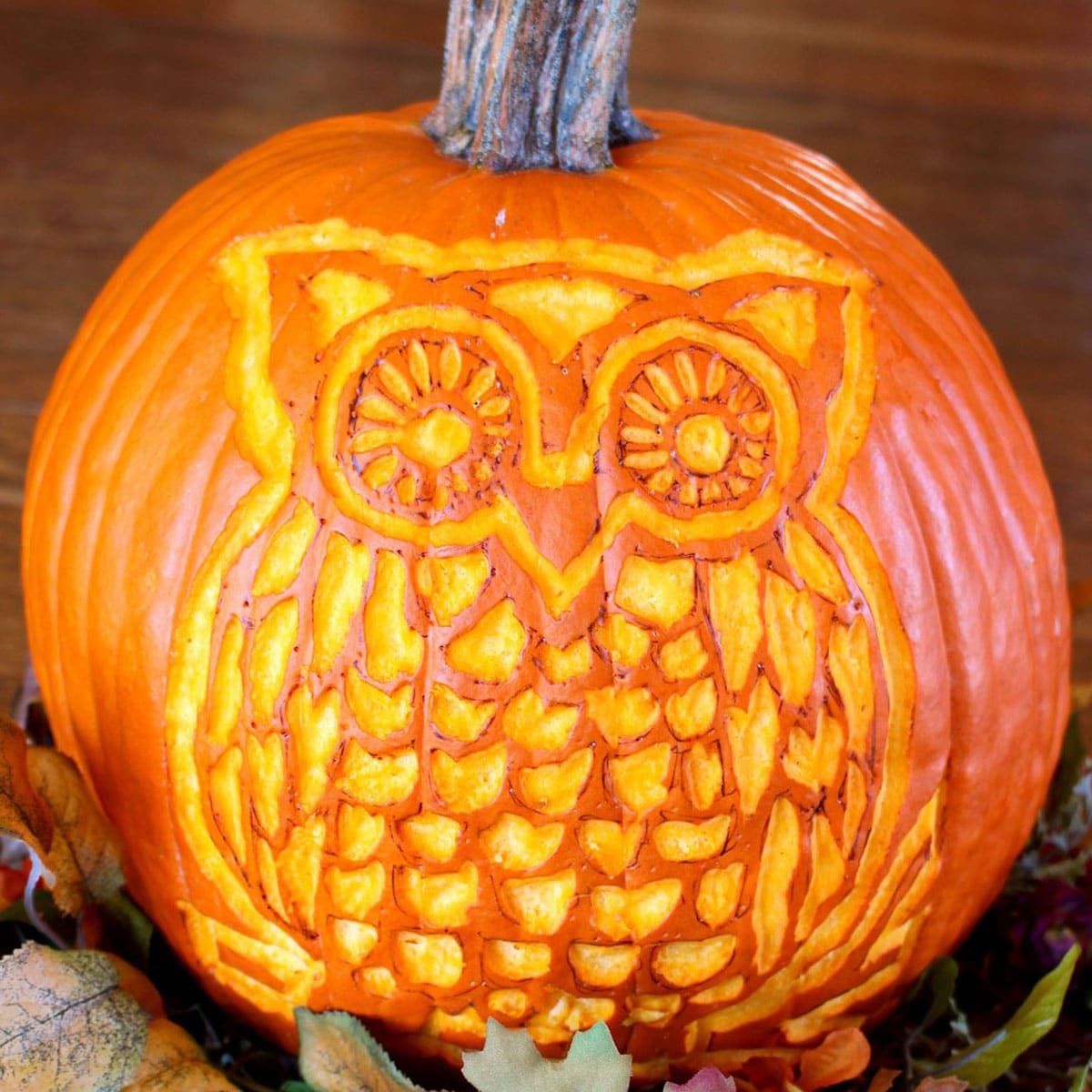 DIY Woodland Owl Pumpkin Carving Free Stencil Pattern Welcome 