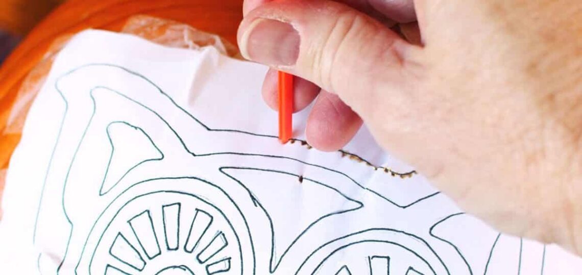DIY Woodland Owl Pumpkin Carving Free Stencil Pattern Welcome