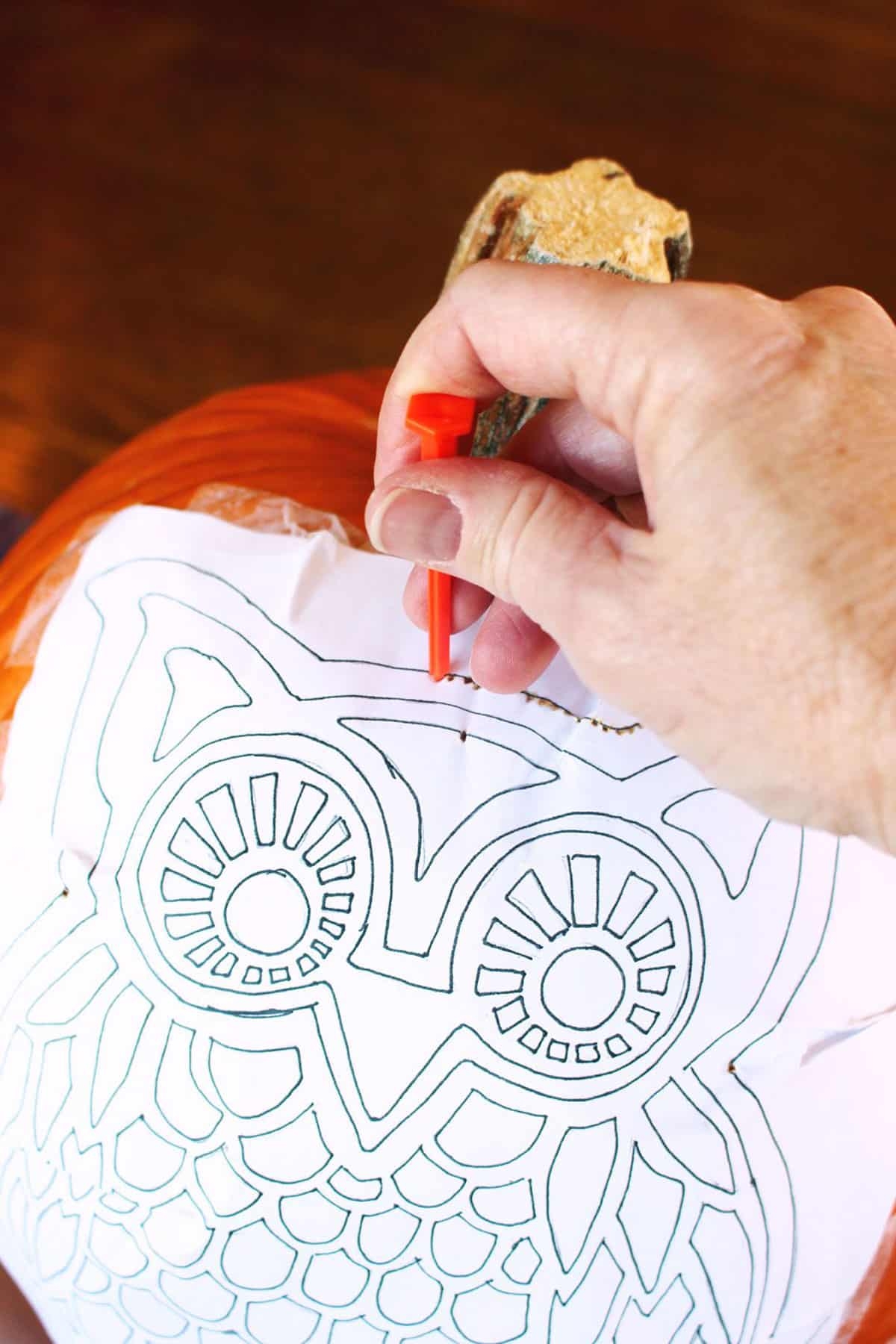 DIY Woodland Owl Pumpkin Carving Free Stencil Pattern Welcome 