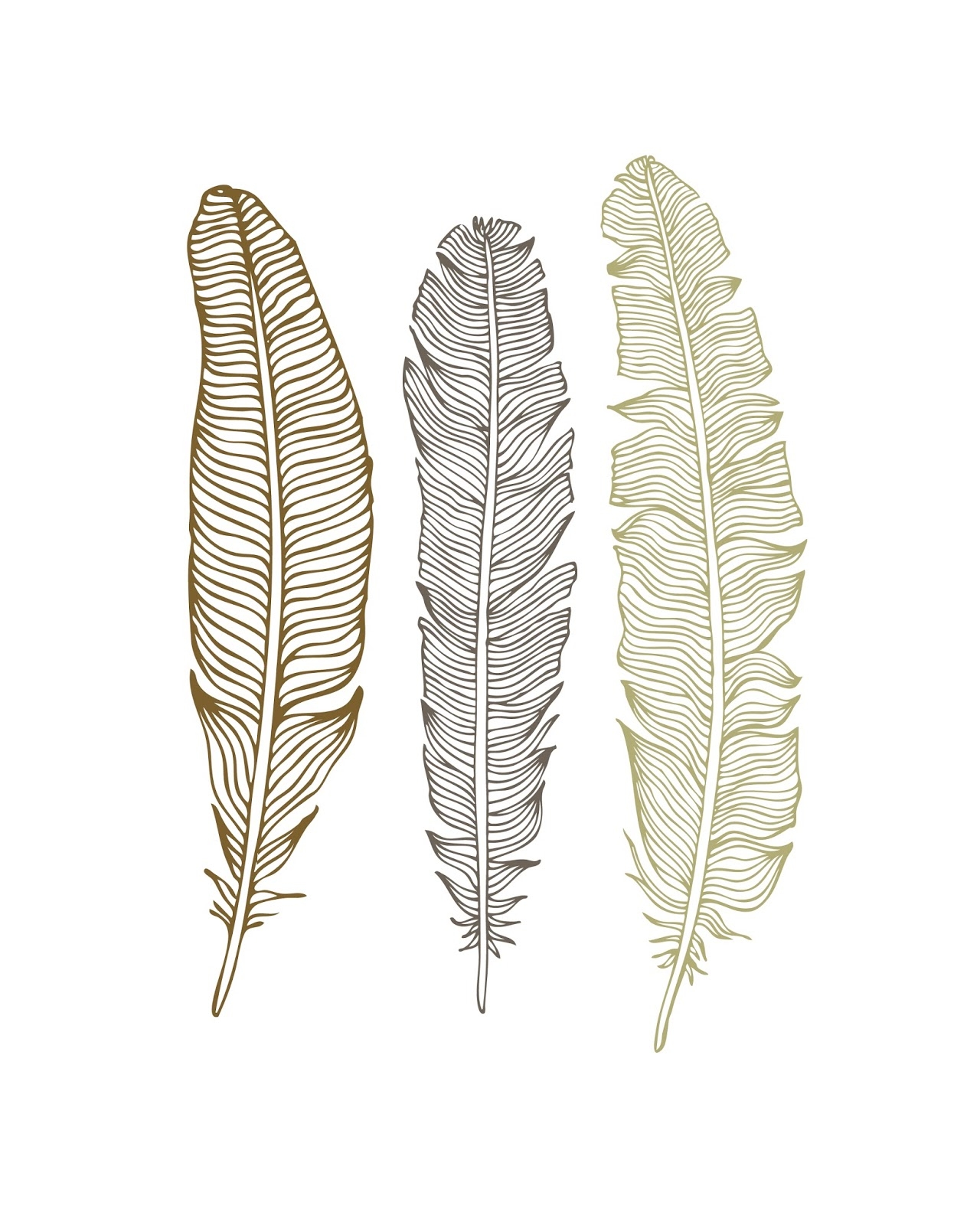 Download Your Free Feather Printables They re Perfect In A Gallery Wall Download Your Free Feather Printables They re Perfect In A Gallery Wall