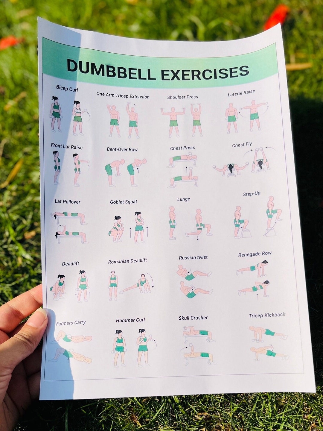 Dumbbell Workout Dumbbell Workout Chart Dumbbell Exercises Dumbbell Exercise Chart Dumbbell Chart Dumbbell Printable Dumbbell Print Etsy