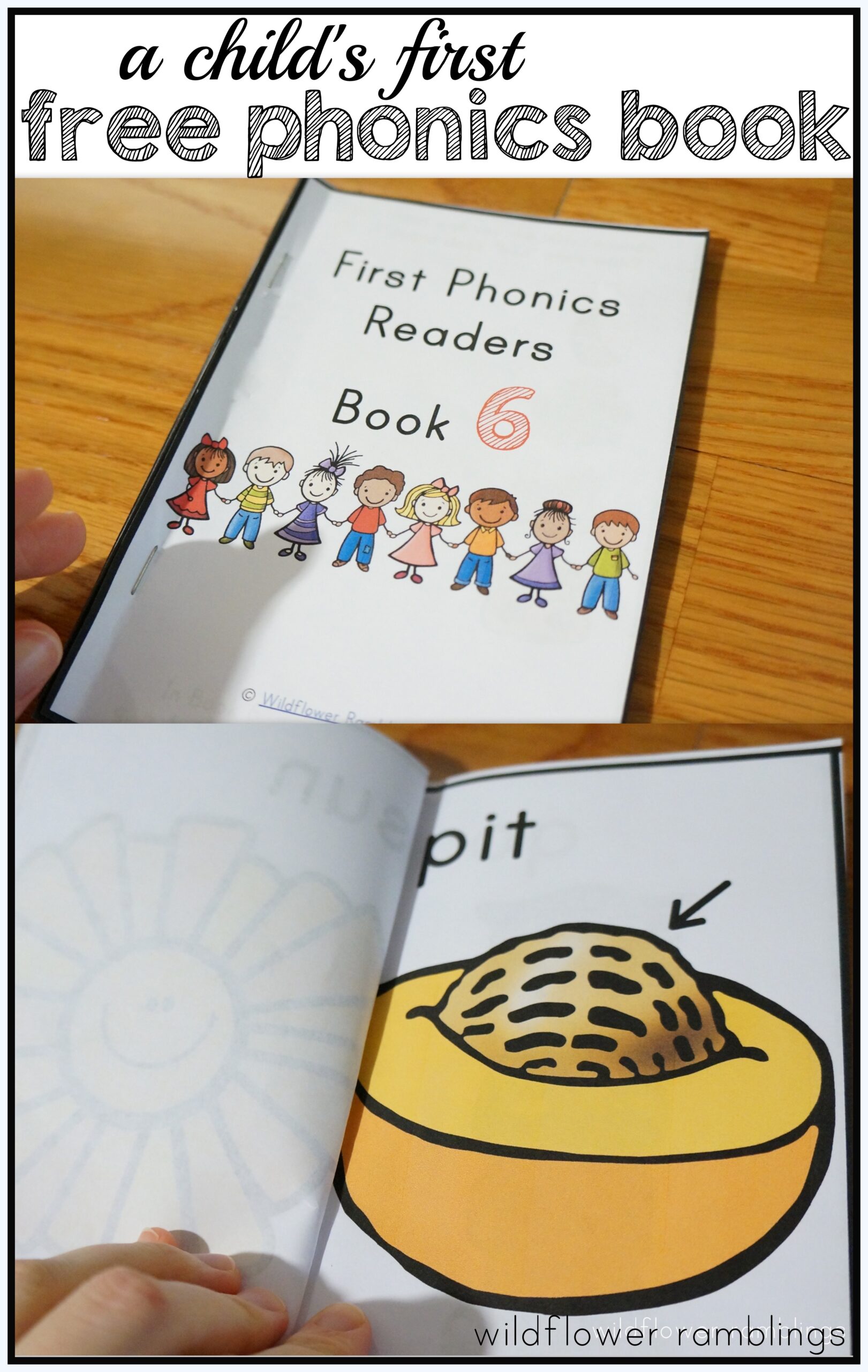 First Phonics Readers Book 6 Wildflower Ramblings First Phonics Readers Book 6 Wildflower Ramblings