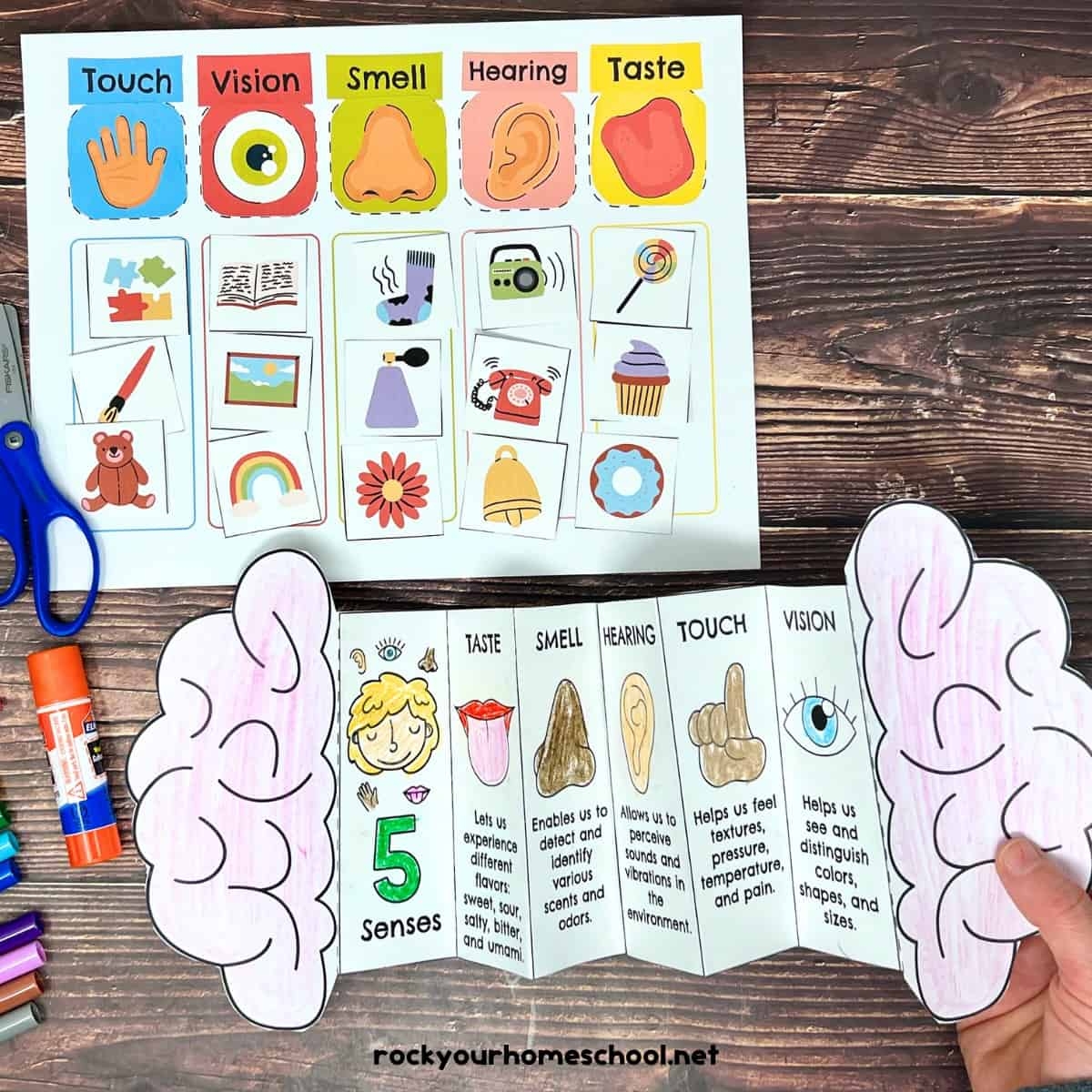 Five Senses Printables Pack For Sorting Fun And More Free Rock 