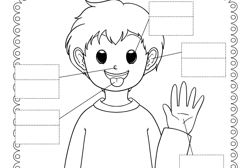 Five Senses Worksheet Free Printable Digital U0026 PDF