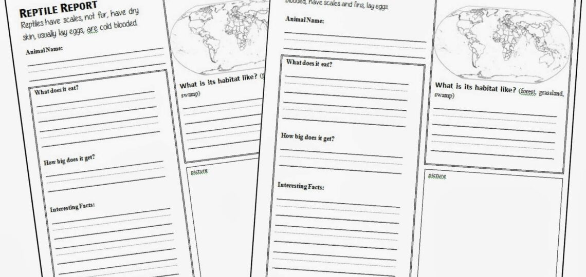 FREE Animal Report Template