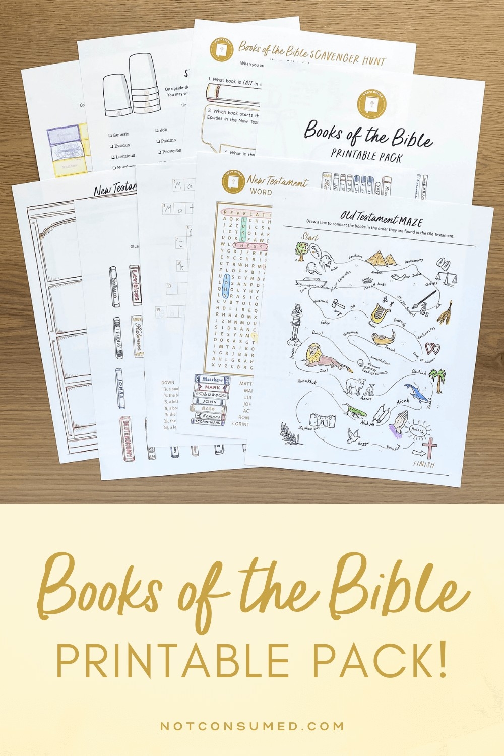 Free Printable Bible Activity Worksheets