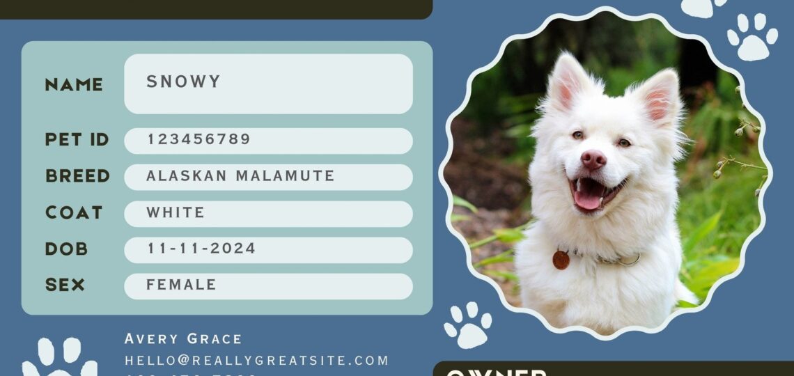 Free Custom Printable Dog ID Card Templates Canva