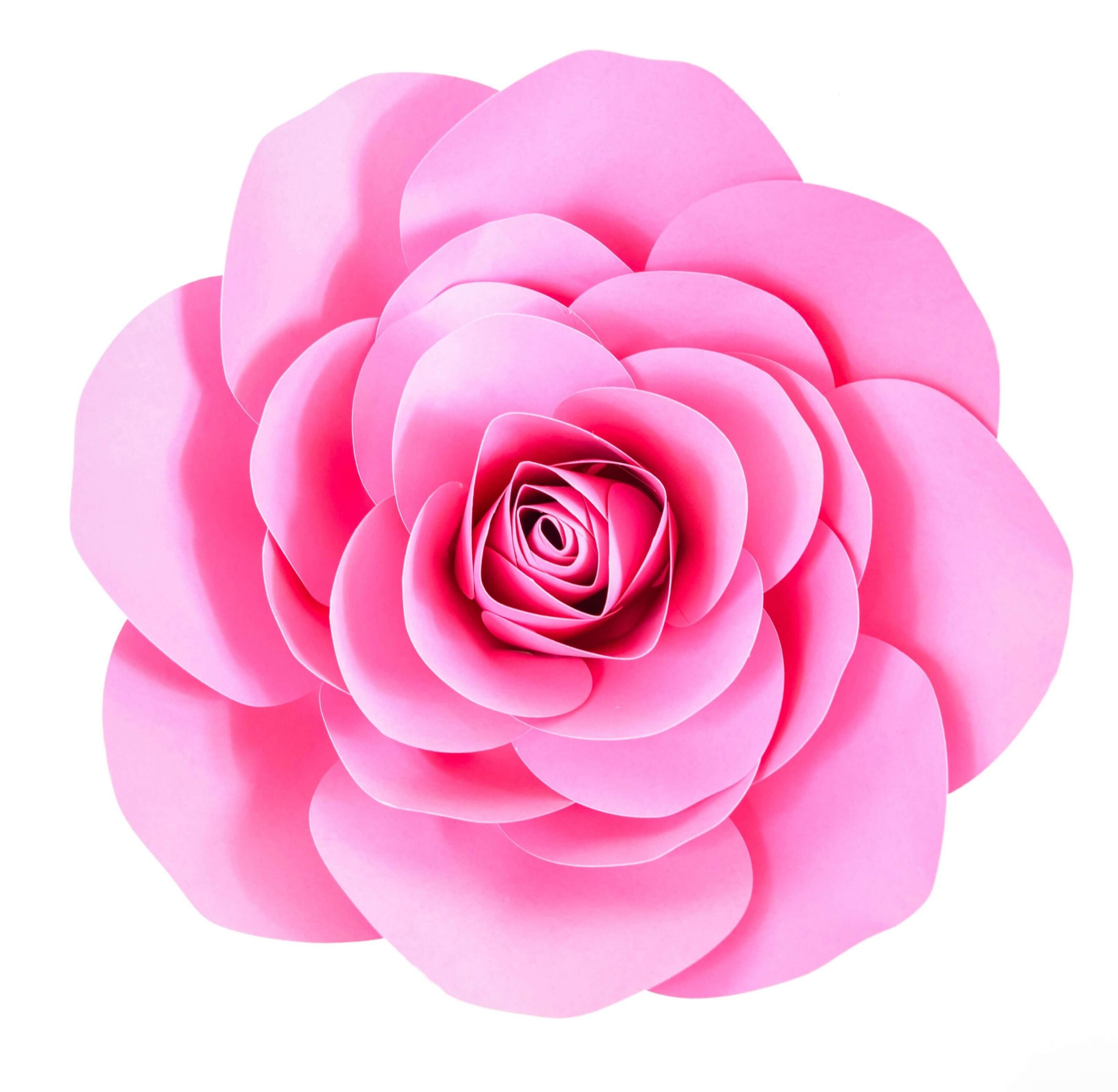 Free Large Paper Rose Template DIY Camellia Rose Tutorial Free Large Paper Rose Template DIY Camellia Rose Tutorial