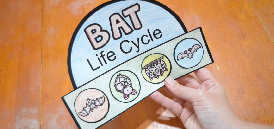 Free Printable Bat Life Cycle Hat Template Learning Resource For Kids