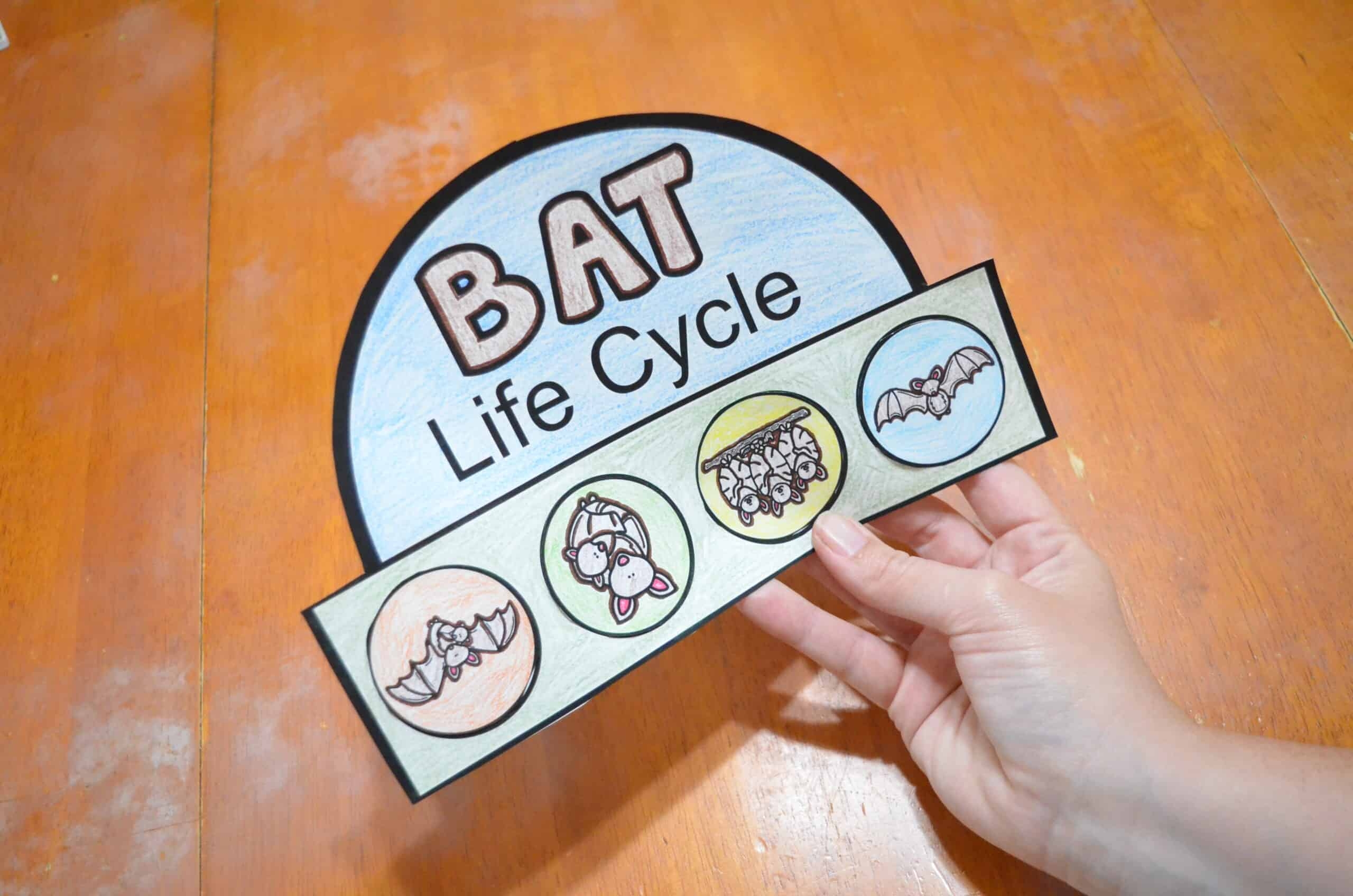 Free Printable Bat Life Cycle Hat Template Learning Resource For Kids Free Printable Bat Life Cycle Hat Template Learning Resource For Kids