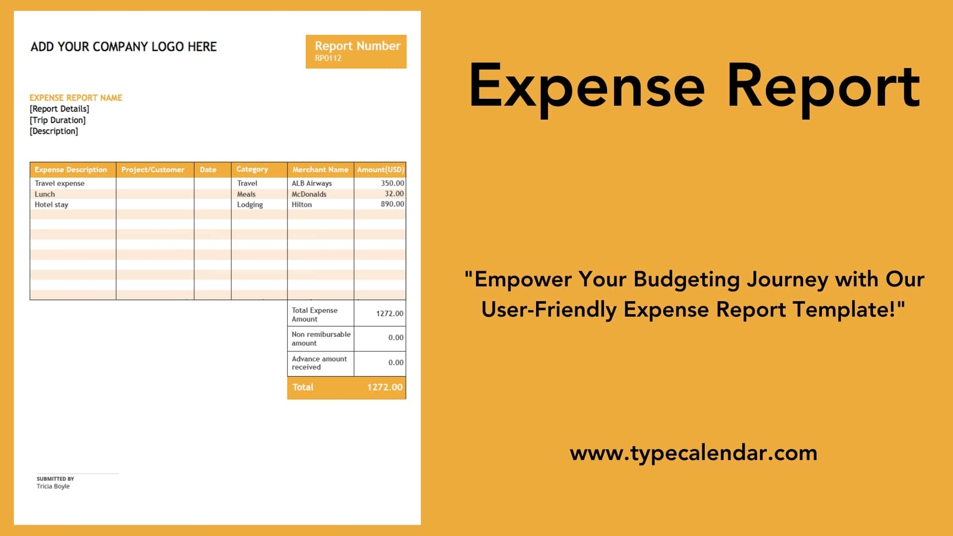 Free Expense Report Template Printable