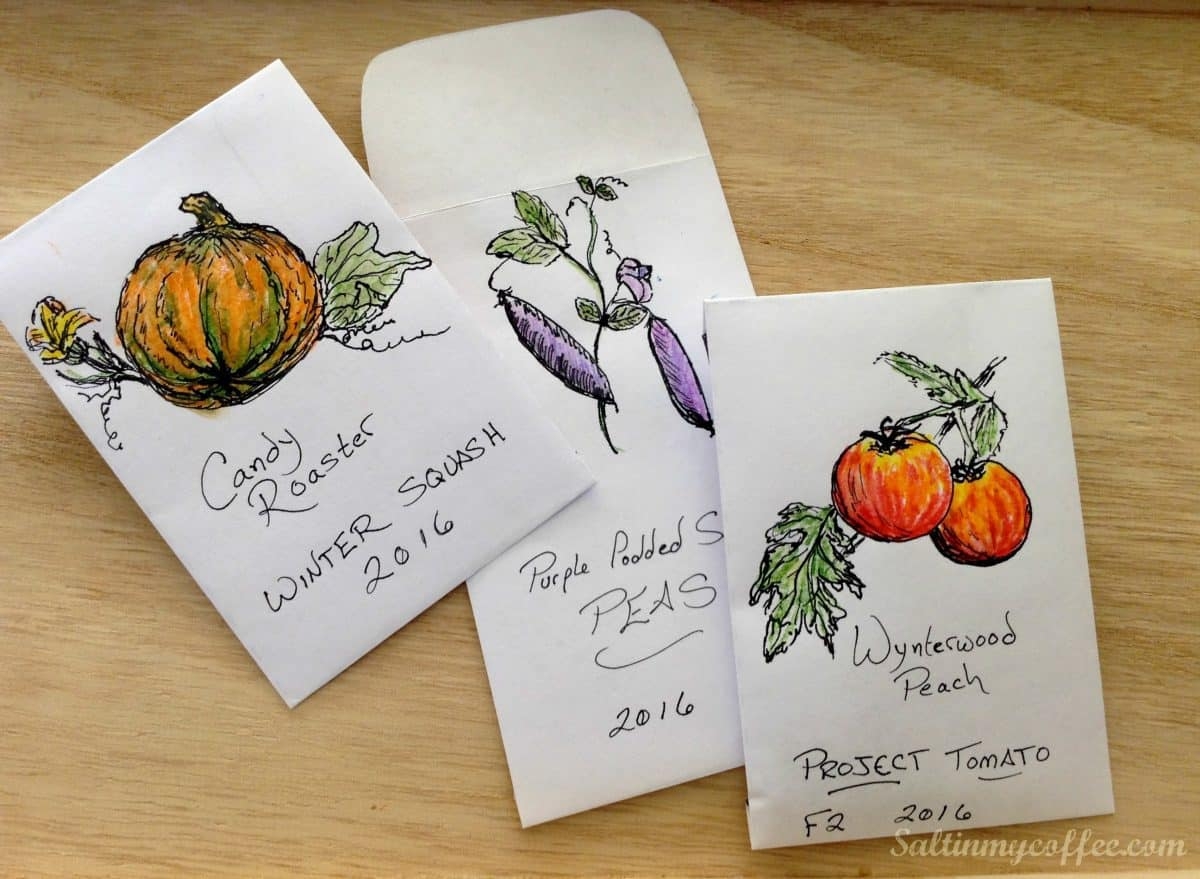 Free Printable Seed Packet For Seed Saving Salt In My Coffee
