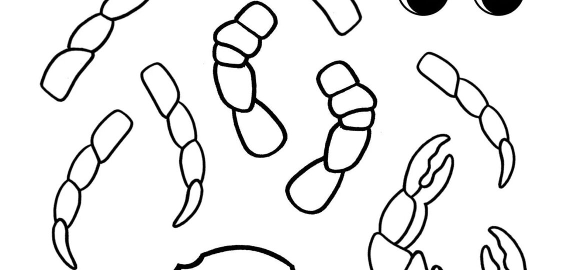 Fun Cut And Paste Blue Crab Craft For Kids Simple Mom Project