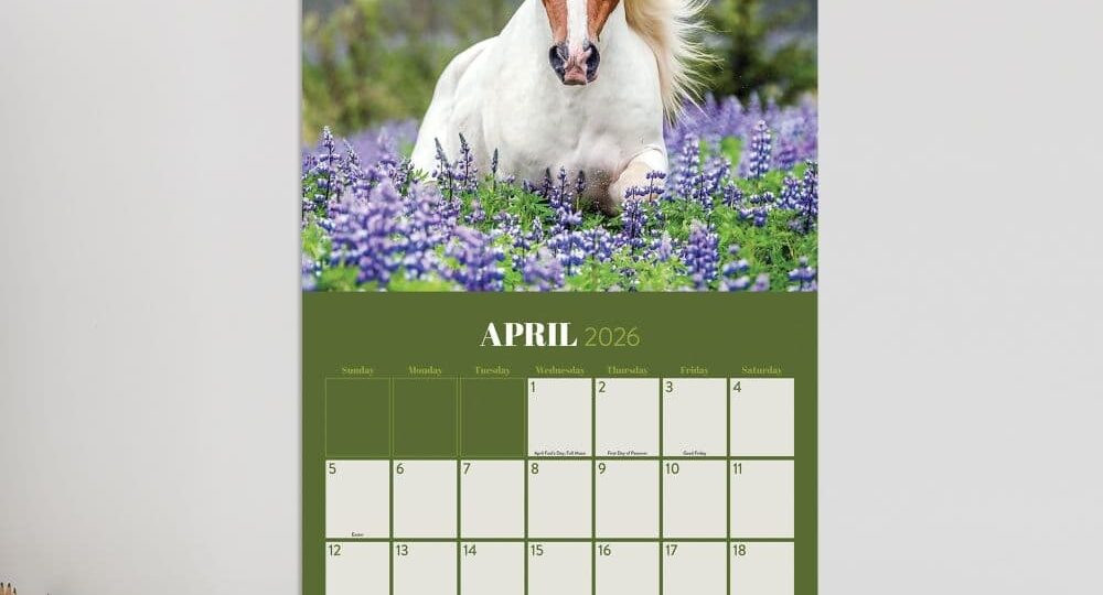 Horses 2026 Wall Calendar Calendars