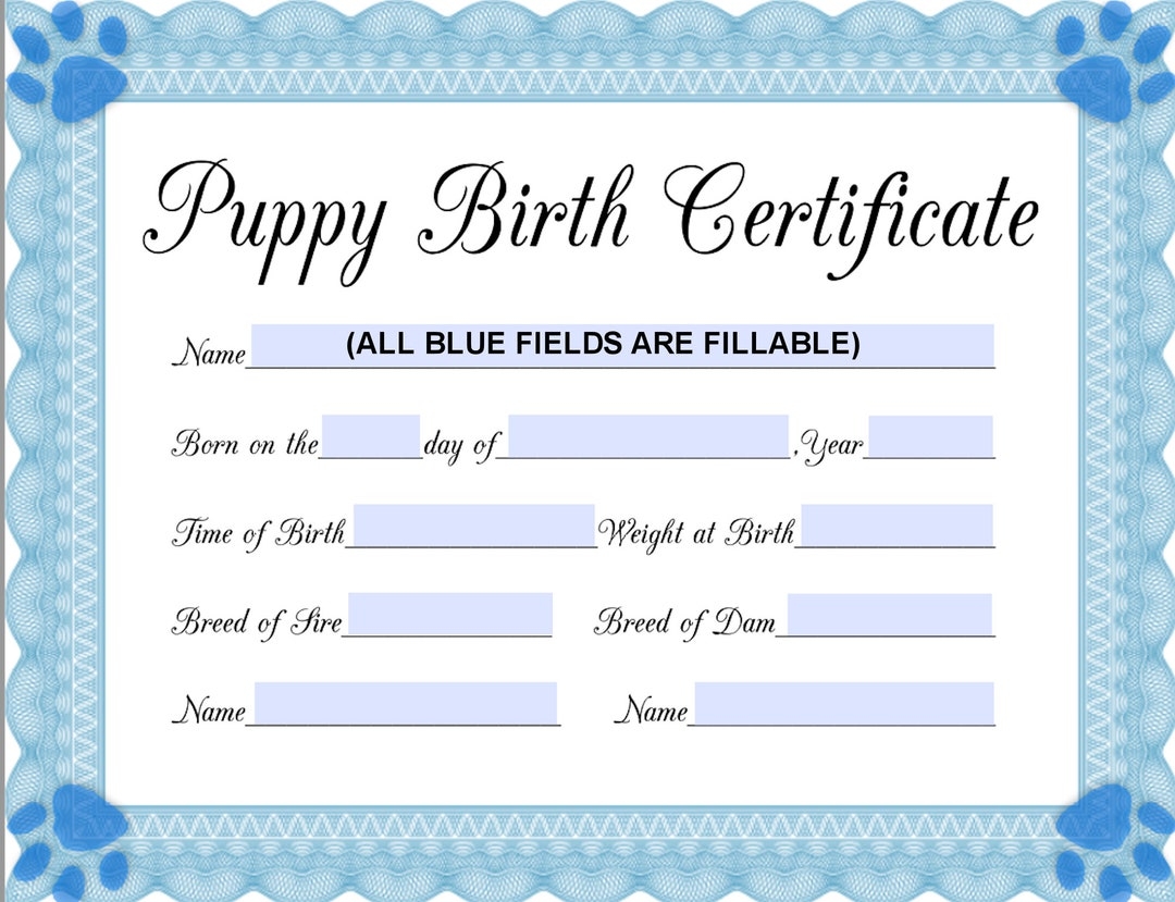 INSTANT Fillable Printable PDF Puppy Birth Certificate blue male Printable 8 5x11 INSTANT Fillable Printable PDF Puppy Birth Certificate blue male Printable 8 5x11