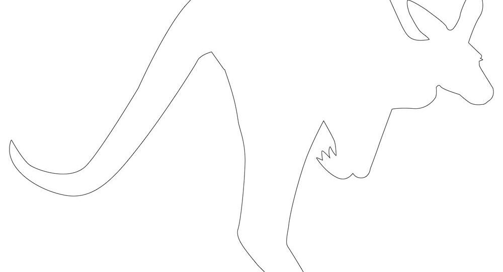 Kangaroo Template Printable Kangaroo Outline