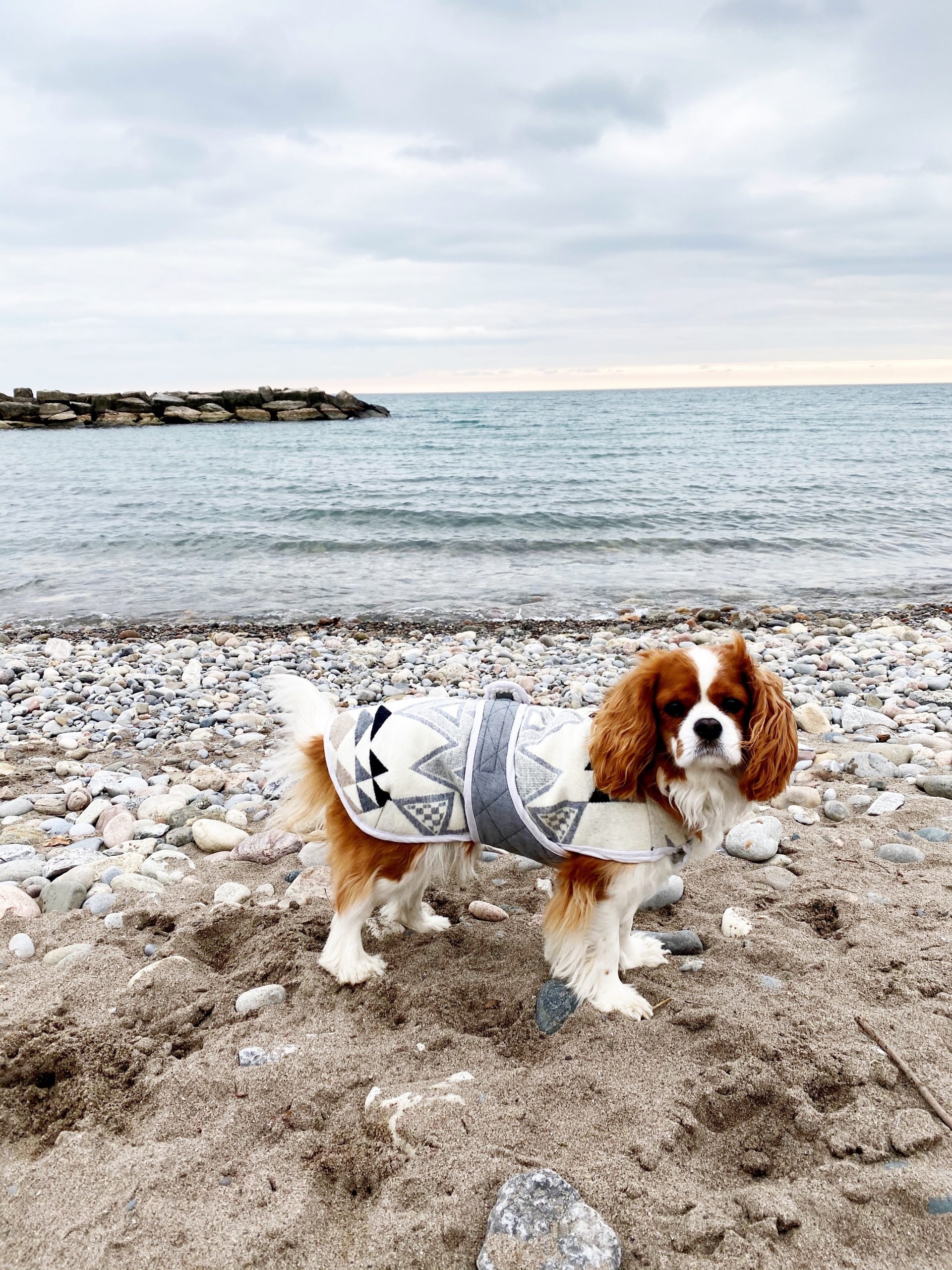 Free Printable Raincoat Template Pattern