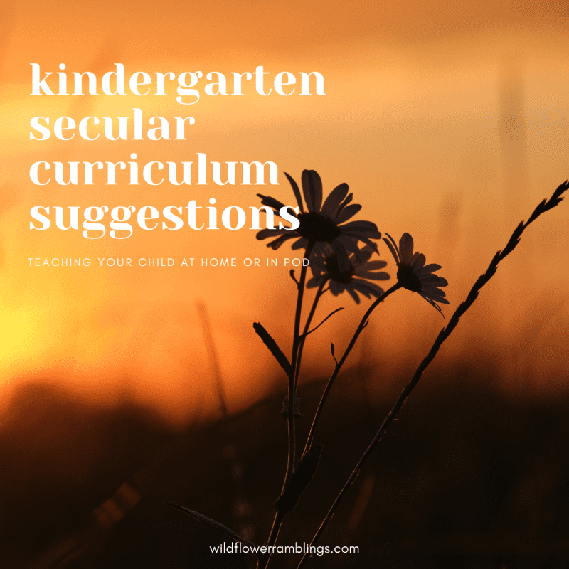 Free Printable Kindergarten Curriculum