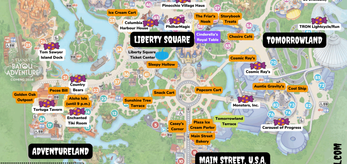 Magic Kingdom Maps