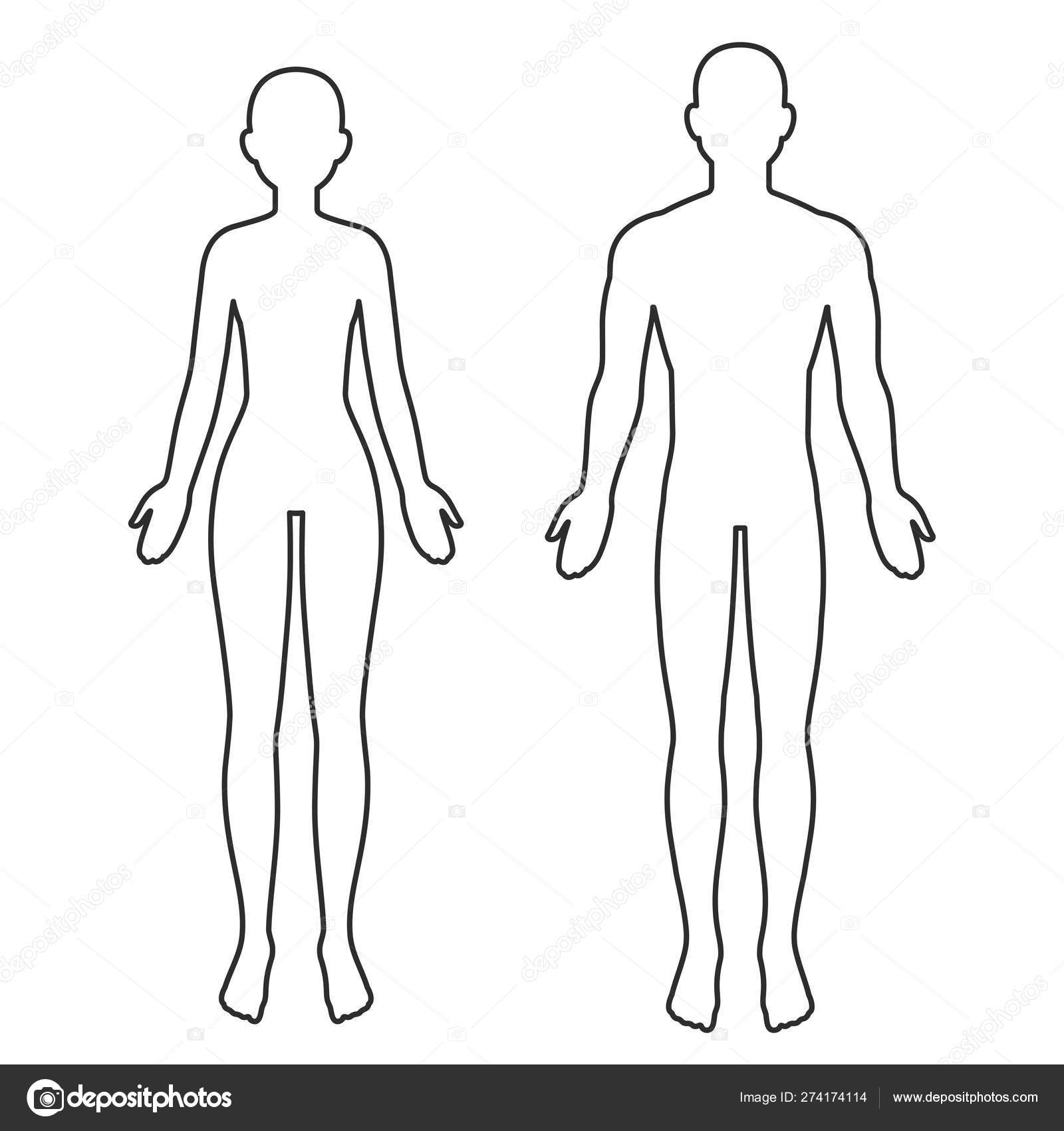 Male And Female Body Outline Stock Vector By Sudowoodo Male And Female Body Outline Stock Vector By Sudowoodo