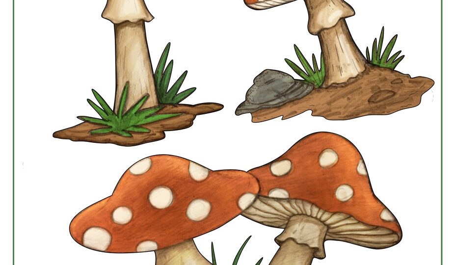 Mushroom Template Shapes For Preschool Art