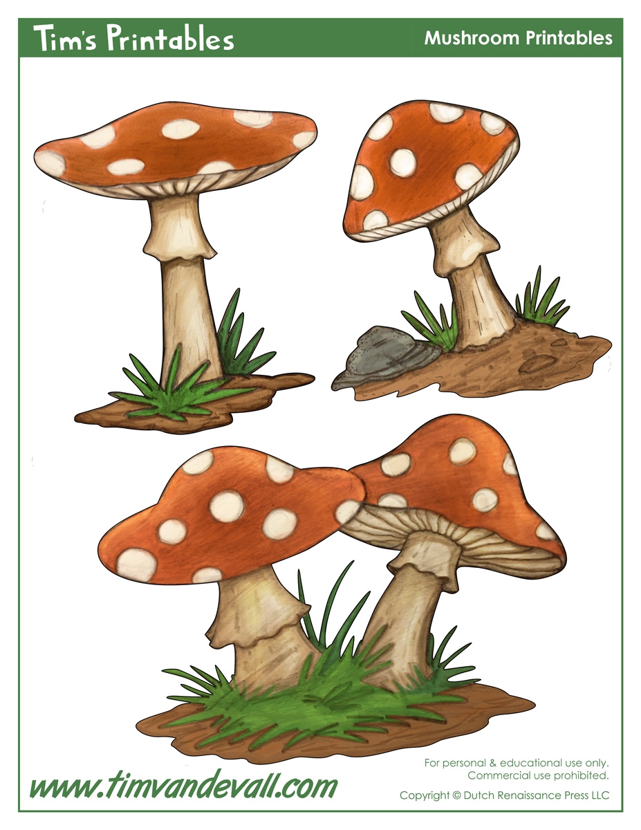 Mushroom Template Shapes For Preschool Art Mushroom Template Shapes For Preschool Art