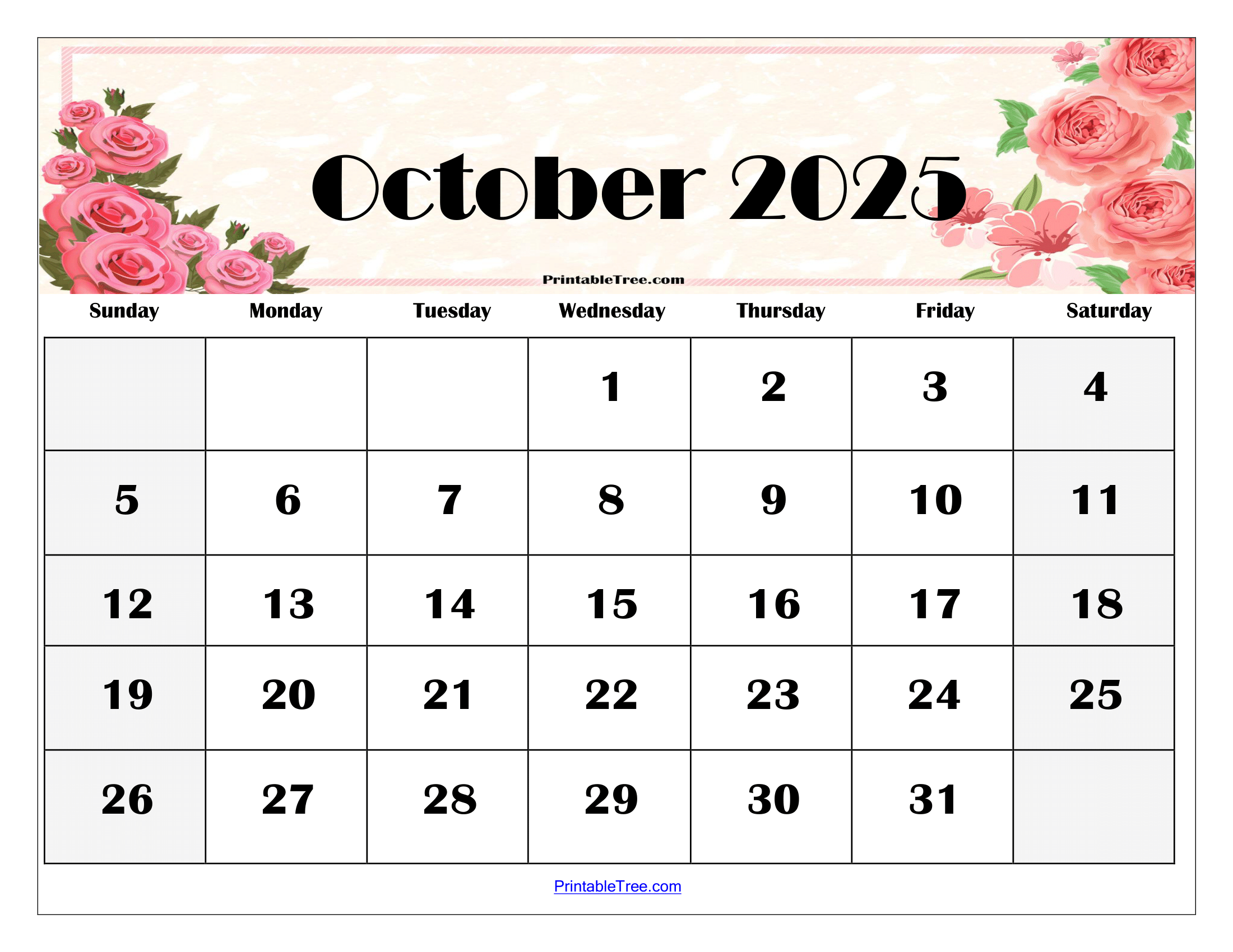 Boston Calendar October 2025