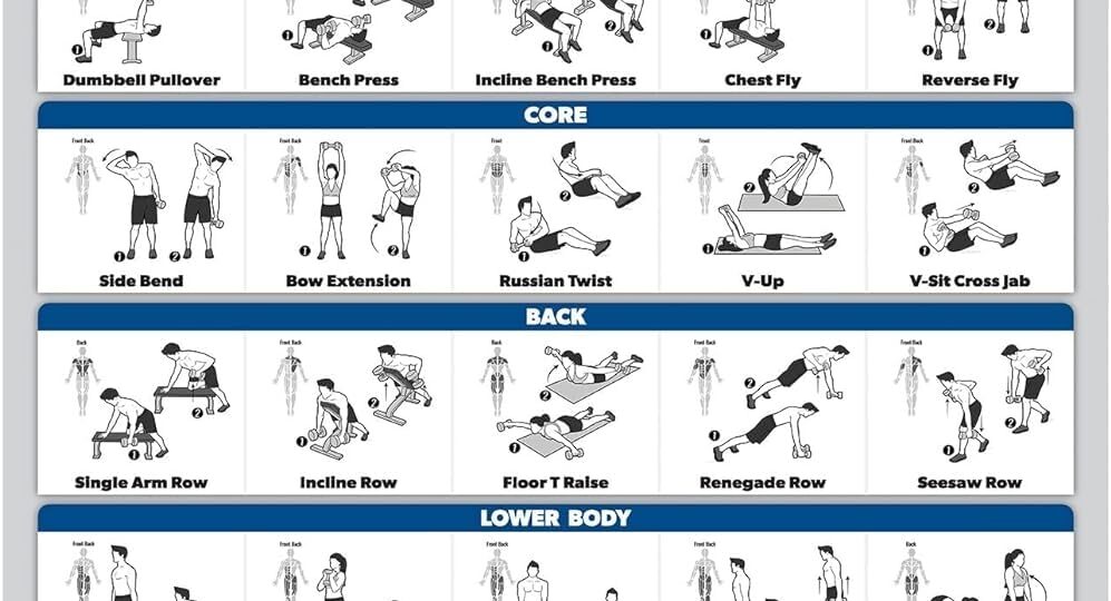 Palace Learning Dumbbell Workout Exercise Poster Free Weight Body Building Guide Home Gym Chart LAMINATED 18