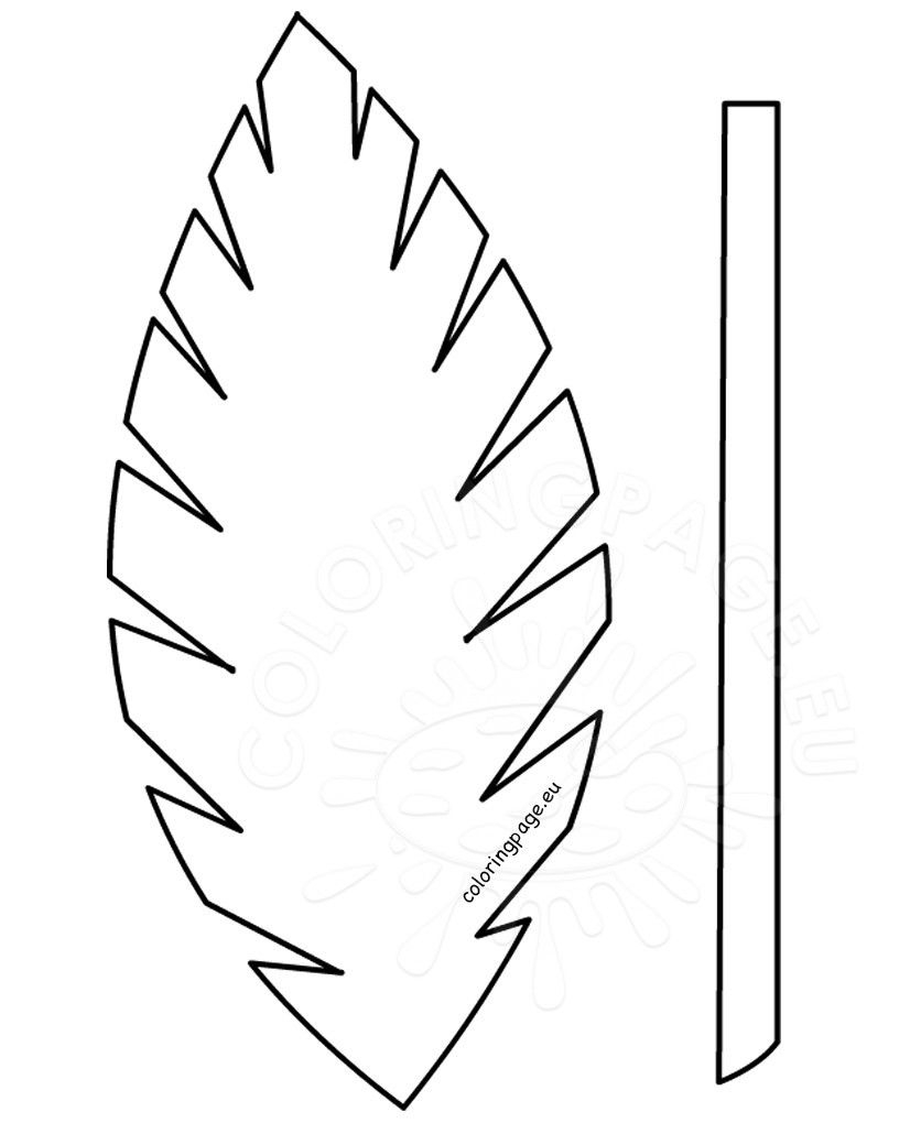 Palm Leaf Template Printable Vastuuonminun Sketch Coloring Page Worksheets Library Palm Leaf Template Printable Vastuuonminun Sketch Coloring Page Worksheets Library