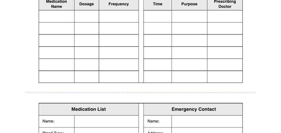 Portable Medication List U0026 Example Free PDF Download