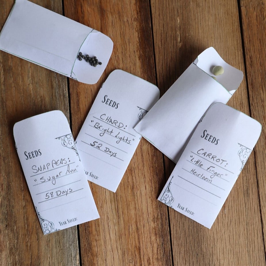 Free Printable Printable Seed Packet Template