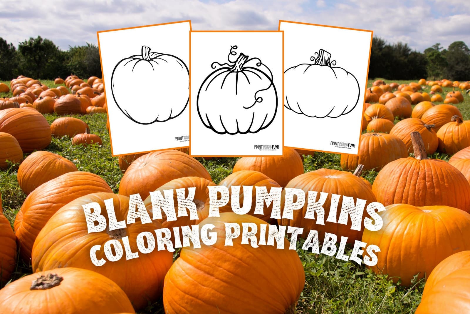 Pumpkin Outline Printables 5 Large Blank Pumpkin Templates For Autumn Fun At PrintColorFun Pumpkin Outline Printables 5 Large Blank Pumpkin Templates For Autumn Fun At PrintColorFun