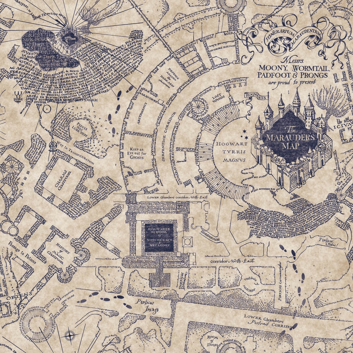 RMK12436RL Harry Potter Marauders Map Peel U0026 Stick Wallpaper RMK12436RL Harry Potter Marauders Map Peel U0026 Stick Wallpaper