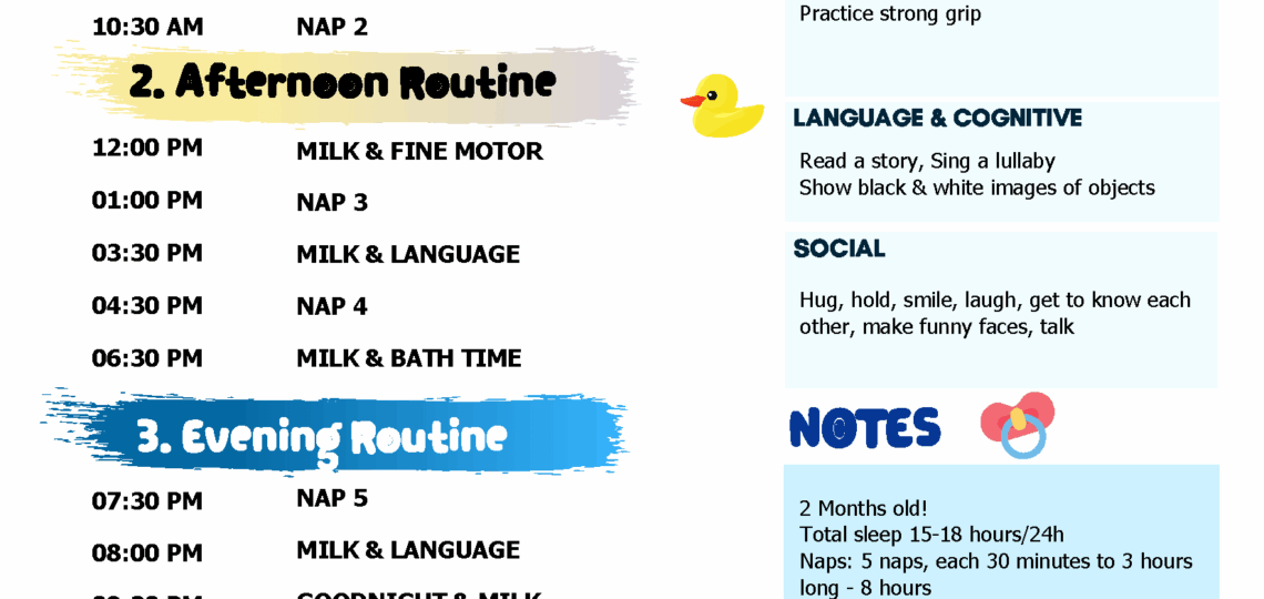 SIMPLE BABY SCHEDULE TEMPLATE 0 6 MONTHS Toddler In Action