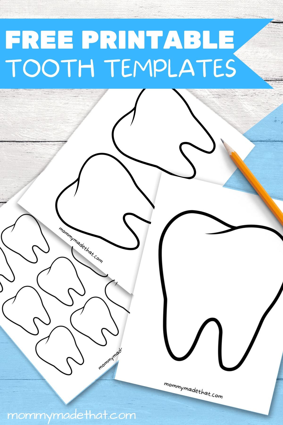 Tooth Templates Free Printable Outlines Tooth Templates Free Printable Outlines
