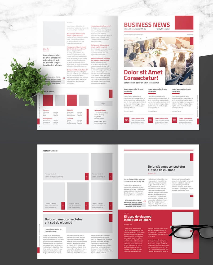Top 50 InDesign Newsletter Templates 2025 DesignerCandies
