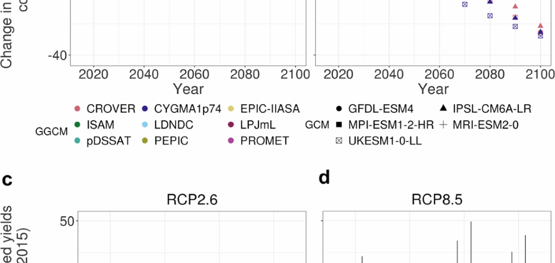 Uncertainty In Land use Adaptation Persists Despite Crop Model